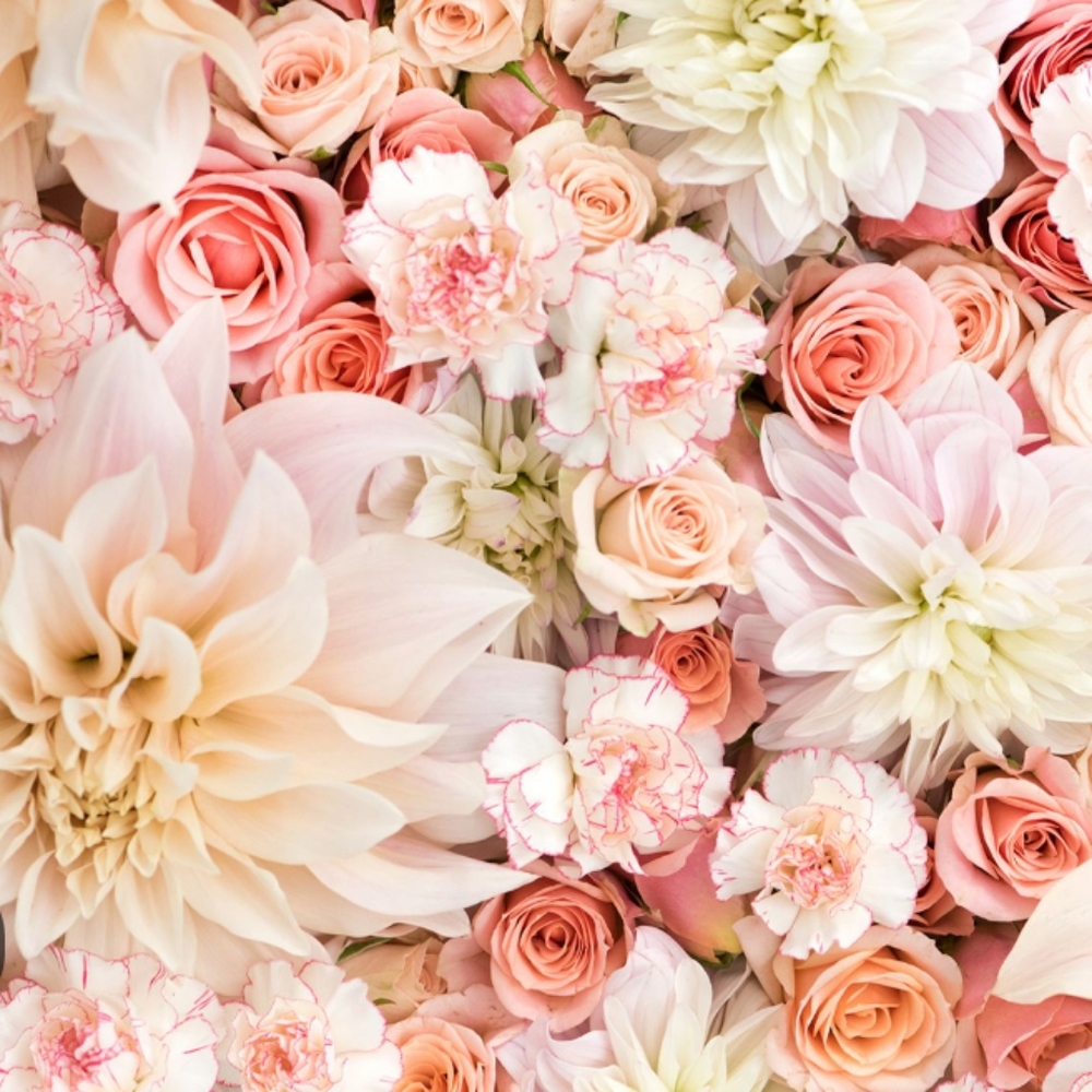 Meet your Posher, Melly